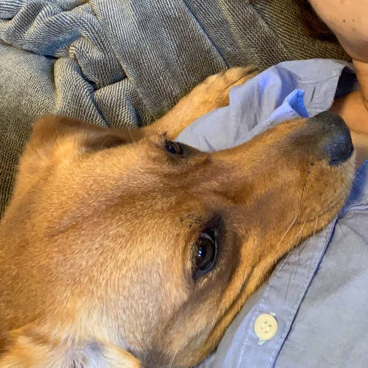 F71d640c 1960 4c9c 8ceb 594295551356 1565519626253