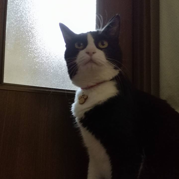 F71d8efd 015d 4d6a 8d3f b4e0e084af14 1567694233548