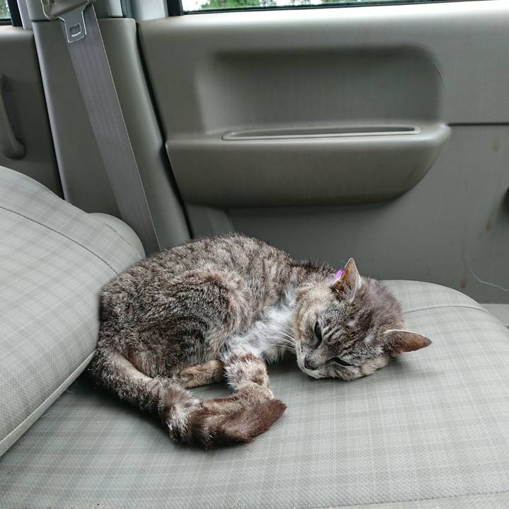 F71dc14a d6eb 41b7 a732 26c703bf9995 1593914732799