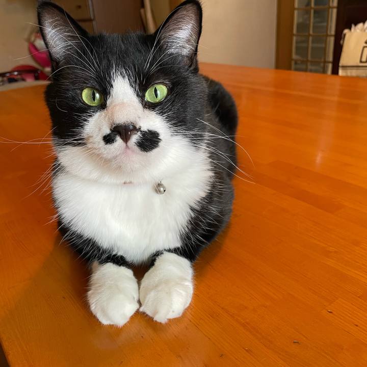 F71ddcb9 b311 4cb7 aec0 4d91841df8a8 1689640319719