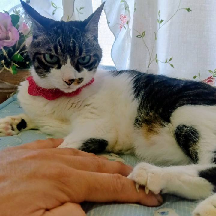 F71df93d 6f98 4151 b067 be9fafd04a62 1755989217195