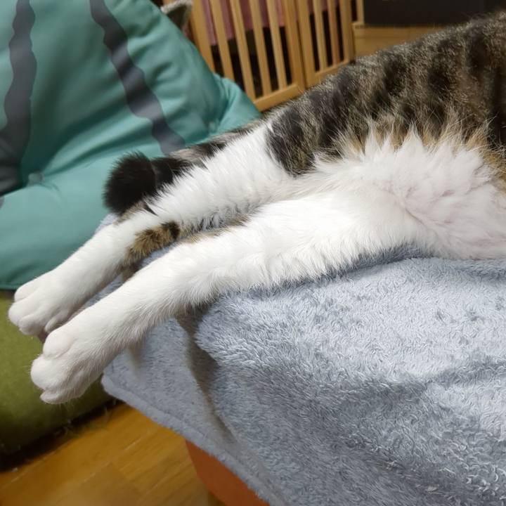 F71e2cc6 99ed 429f a6f2 7e75c58bd3d4 1669777341464