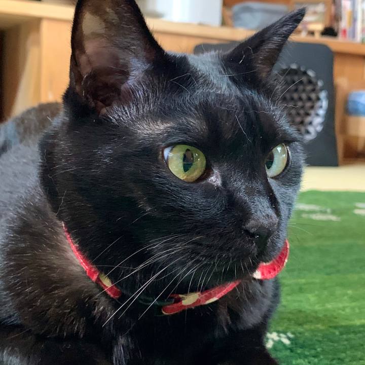 F71e3111 e236 441c bd58 57b36cfd147d 1596606260832