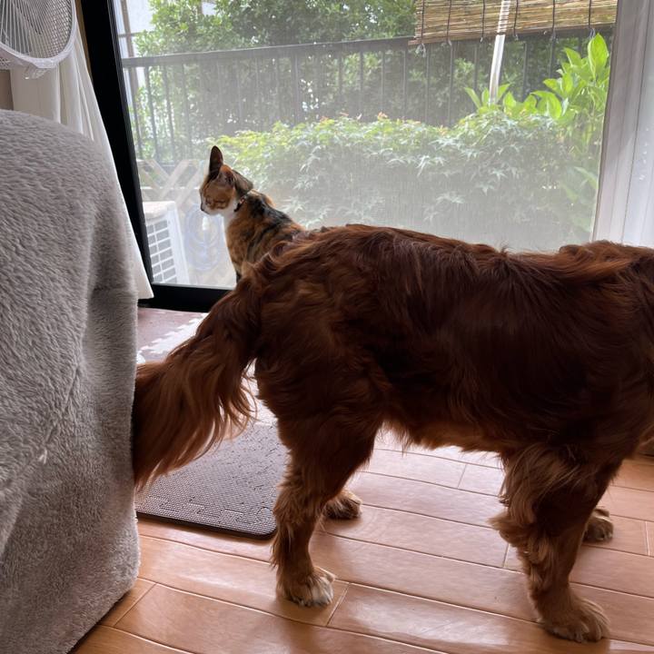 F71e37dd cf7b 4366 909b 387cd96e5496 1685052915166