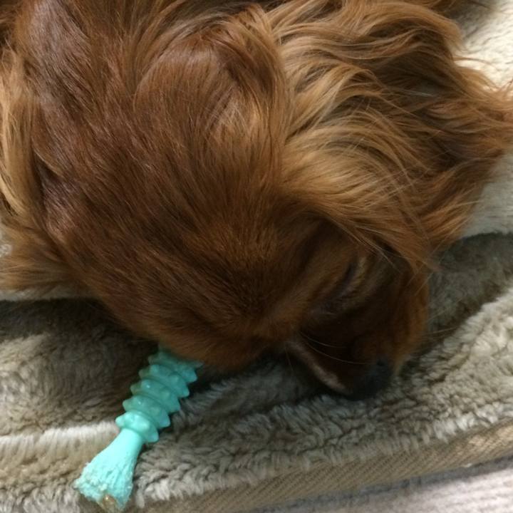 F71e4825 33e7 449d 947b 1b60e5787fb6 1521411914049