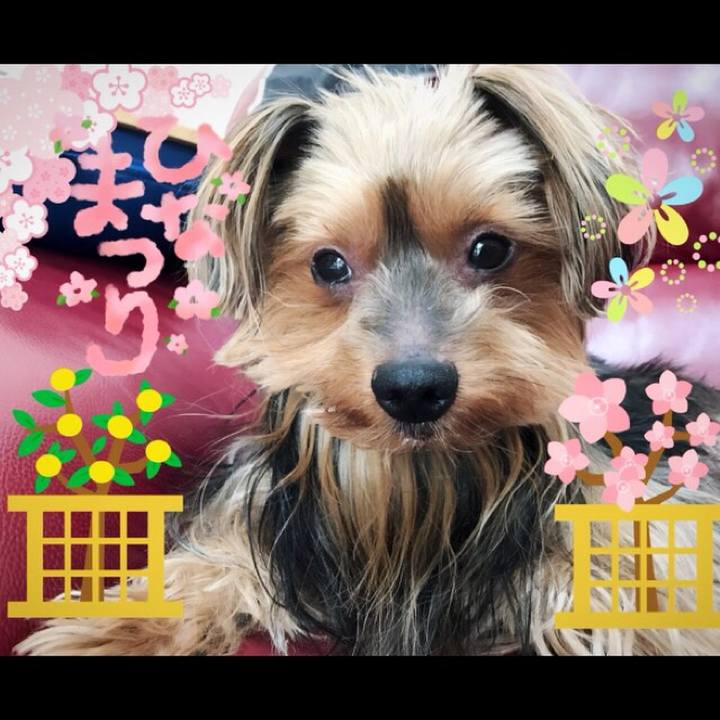 F71e8c4f 5ed2 4ae2 b28b f2fb4eca7e77 1520034673113