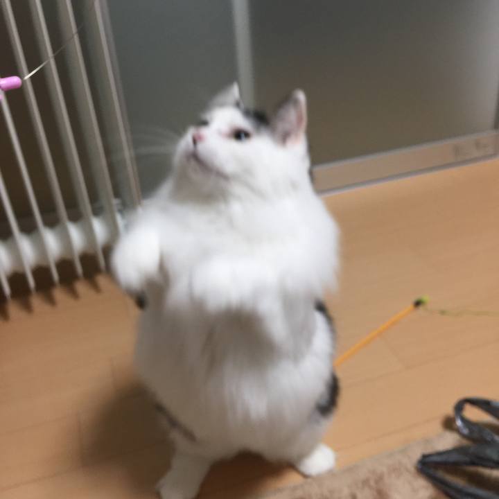 F71e8fff a023 4377 9222 e907871a7e8c 1513501807418