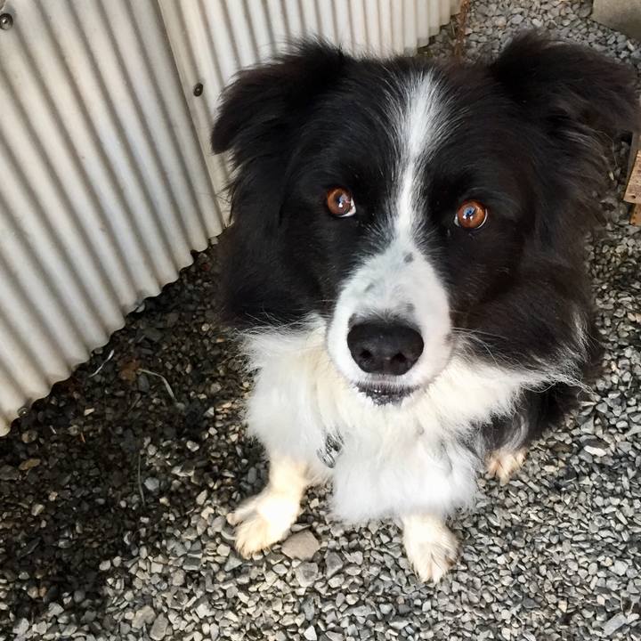 F71e9d85 1c7a 426d 928a e5f77b9ee21e 1574203790126