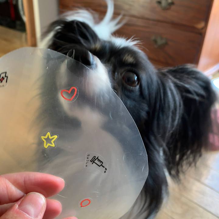 F71ea41c 7f9c 47bc 9456 4846555f50a7 1541920494712