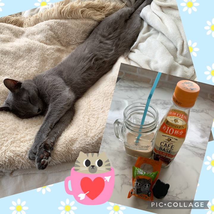 F71ed818 3990 404e 983e 4d78d05492b0 1647832318687