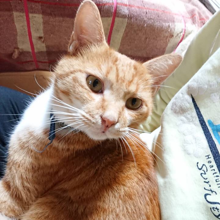 F71f217c 9957 413e 95c7 7a0e34f7111a 1601089747839