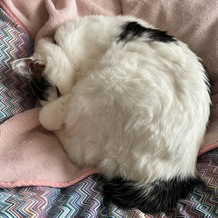 F71f3430 c8a5 4d84 8dff 1b4a8a43fd50 1610365382019