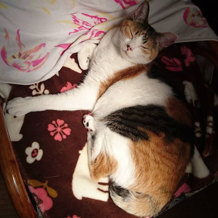 F71f4900 2745 49b3 afd8 dbd0ce96ac72 1556507693684