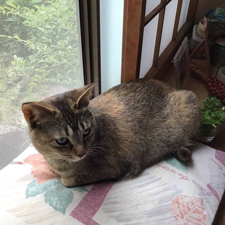 F71f5c52 67d3 4f58 bf1e c9aa97aa0a88 1587463680950