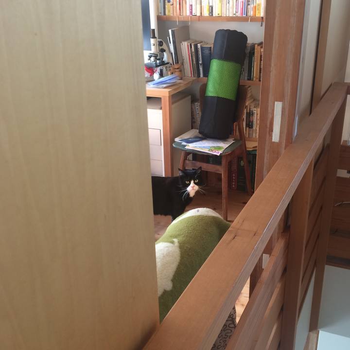 F71f7e96 ba37 4b77 9997 e82f334e78ad 1523064512757