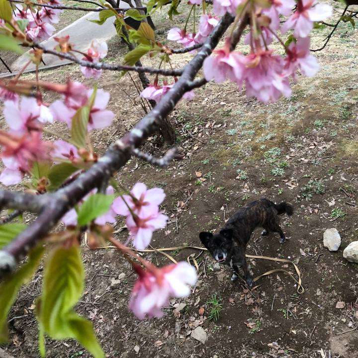 F71f94cc 0e21 4759 adc7 69c32a0006bb 1614578379399