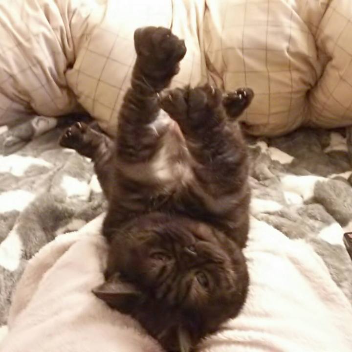 F71fdda7 760d 448e b0f8 c21a7ec4f328 1515326139317