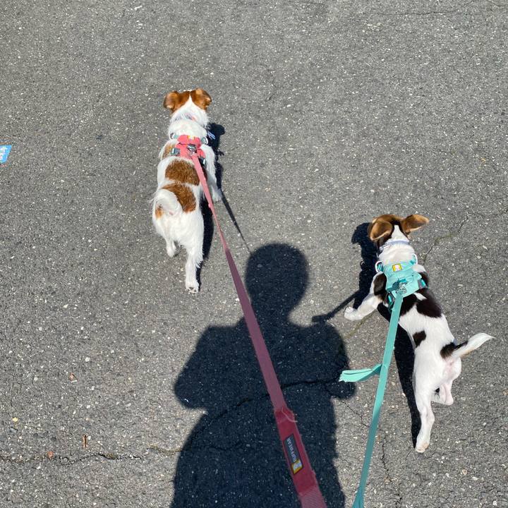 F71fed6d 0b33 4376 9d7b 5ba371ef216f 1746405501442