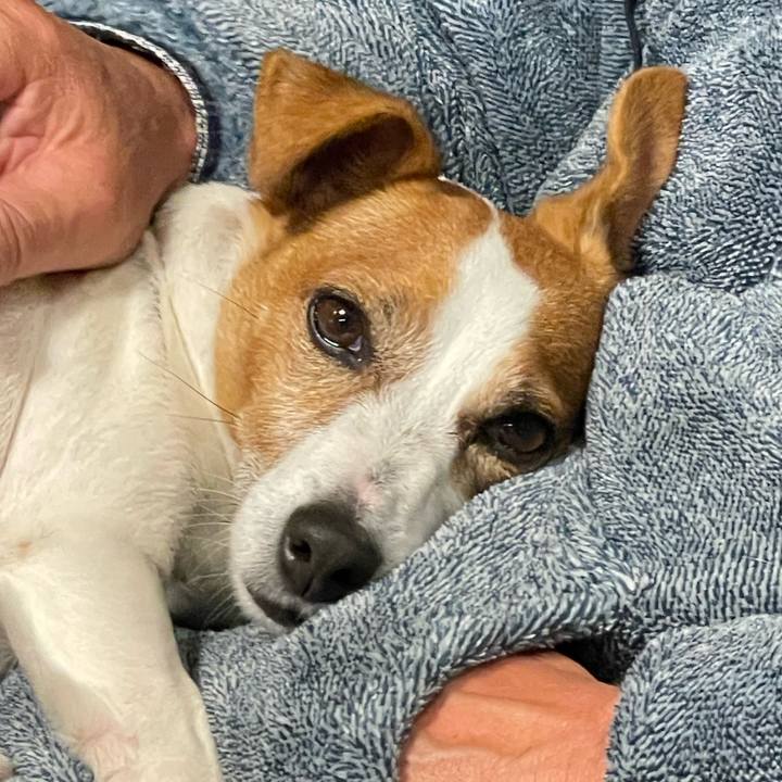 F720051a 9827 4778 a07e de8e32191974 1763812400029