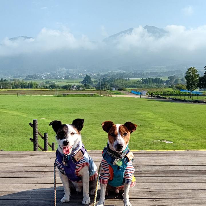 F72031a6 b6b9 45f7 8380 d464ee7f0ecb 1691882705092