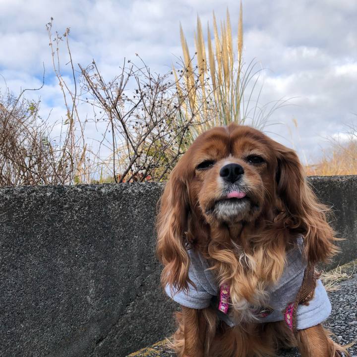 F72031d5 5694 4964 96aa baa6885f6f6f 1642631377087