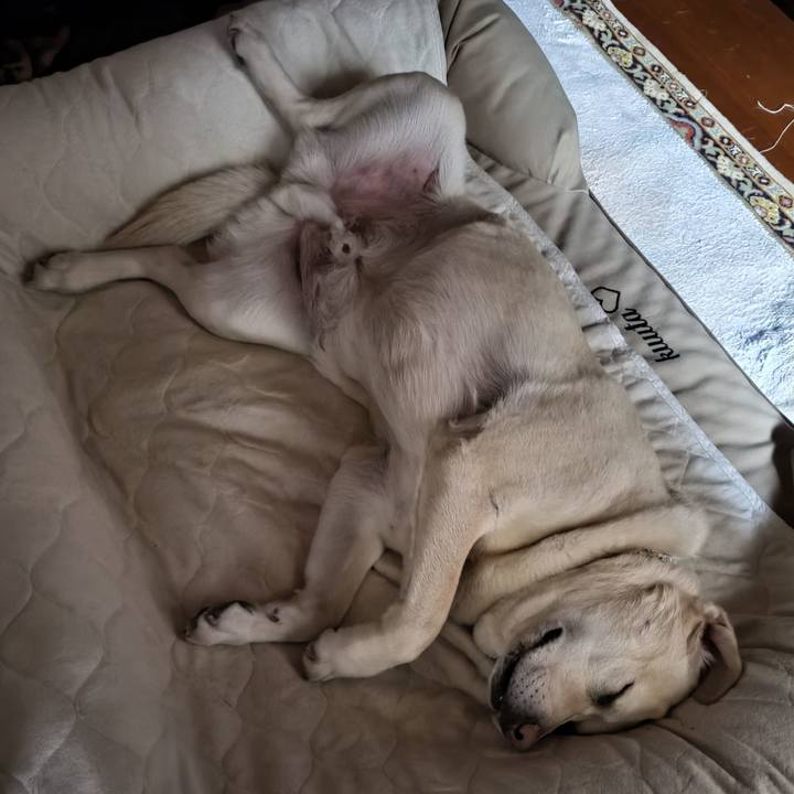 F7206be7 0910 4945 a83a 29fe7c1c9f15 1678673192438