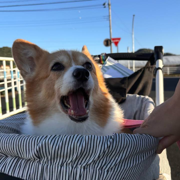 F7208e72 deb5 4a2b 8463 5a857349f656 1760654675845