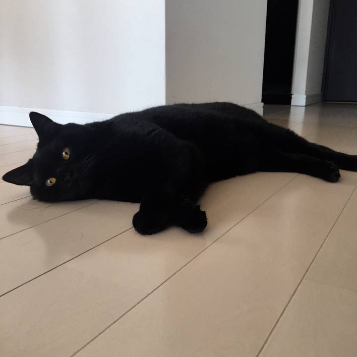 F720bd3d 6703 4104 88c8 9a6694f307e5 1524276159766