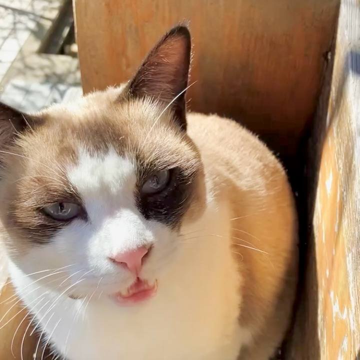 F720bf4a 30b6 4fd1 9f41 e9f25f225db2 1732000649083