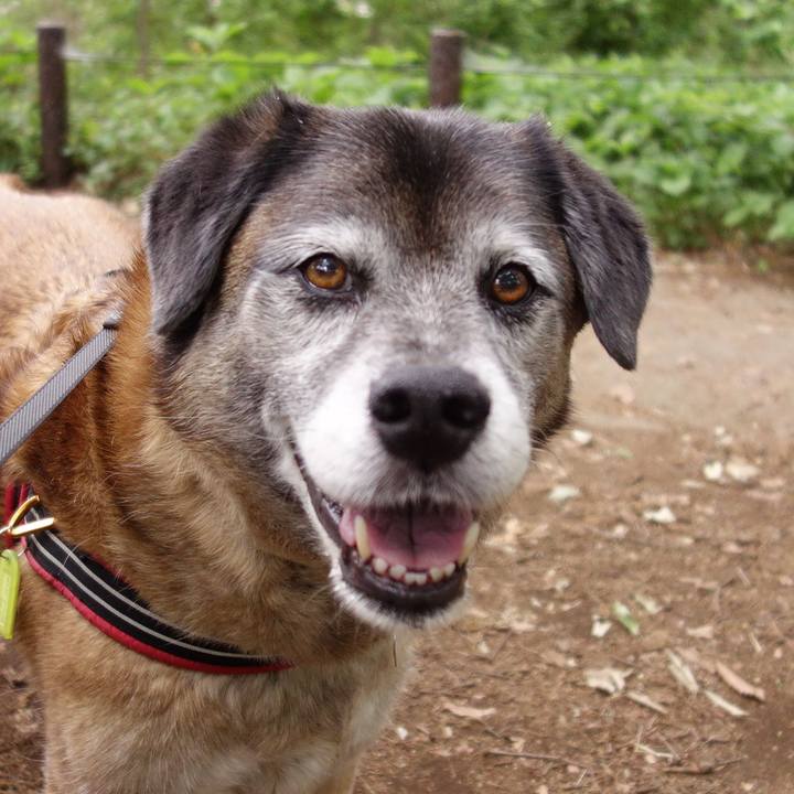 F720ee81 9099 4e2c 9625 4f3426489e20 1558147968696