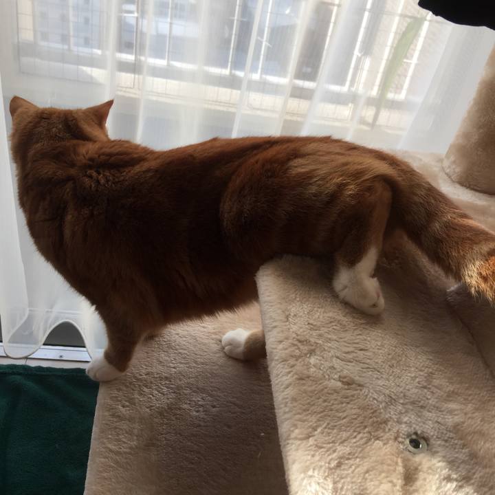 F7211818 6edd 4965 b6db 20ede8bf3e3d 1545794124089