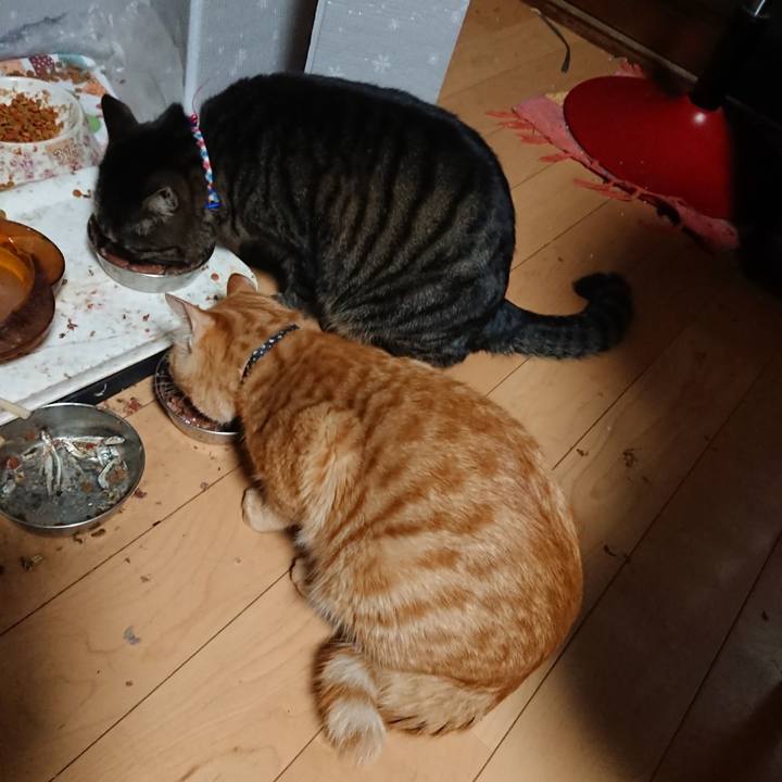 F72133d6 56de 41c1 97d6 15caa6235e0c 1642196611545