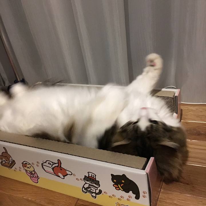 F7215ba2 f39d 4e5c 8939 bb6c1ebd6588 1520430284675