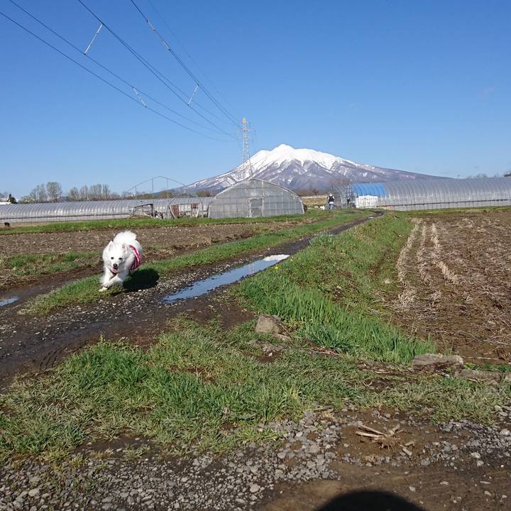 F721674e 2e71 4fa0 a7c3 dbc74a36a149 1556413666586