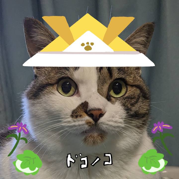 F7216e31 93d9 4c64 a620 24d25bcb152b 1714884729588