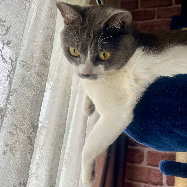 F721785e 4007 4229 a1bc d6f4b40935c8 1638228652462