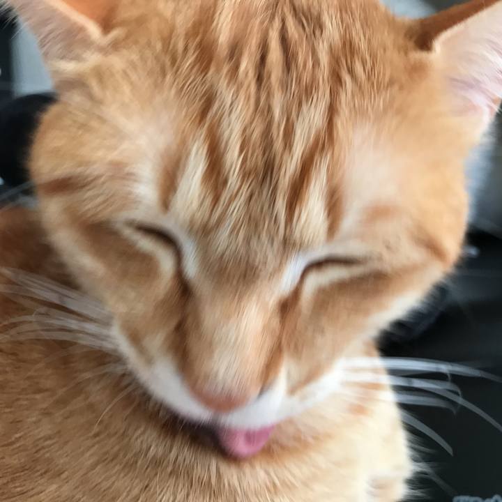 F7217f7d ddbf 4eee b27a b9194adebfe7 1518740977140