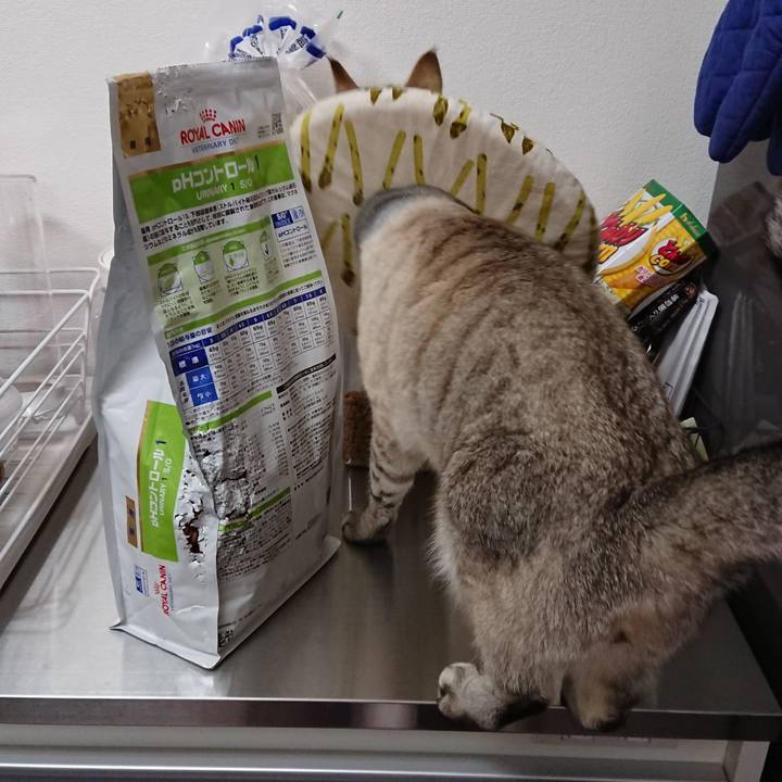 F721a5fc a092 4d5b a5d9 0769dc26bae8 1515576195860