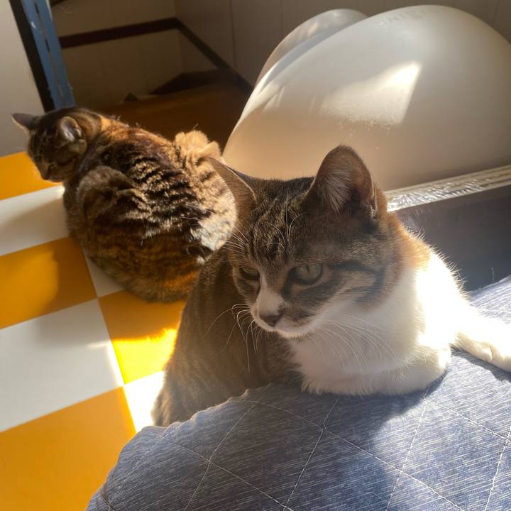 F721f5e9 3f1e 46a8 84e8 7f182bd18db7 1710900022153