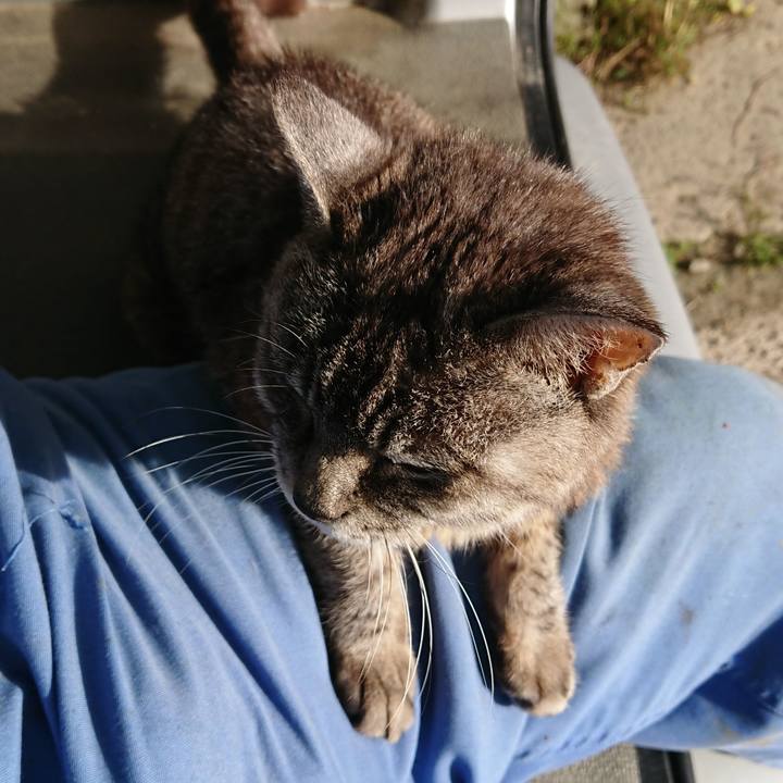 F721fd11 4799 4c24 b042 e5a749fe9ff0 1569018892118