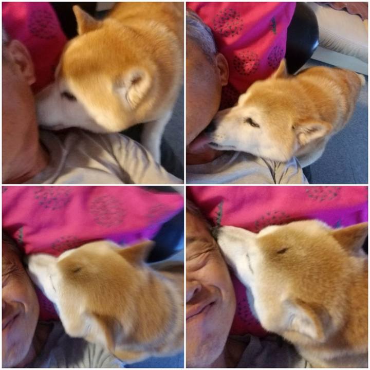 F7221938 5134 4016 aa6a e12ae77bd34a 1657013649189