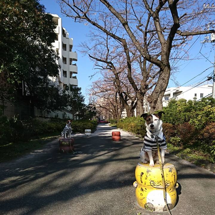 F72235fe b41b 4a36 abc5 6e88a2c05cd4 1584574883695