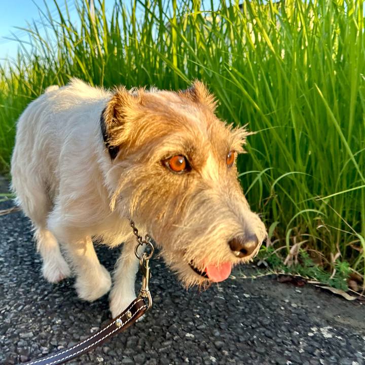 F72237b3 c235 4733 9751 40fe8bbcb159 1726324984652