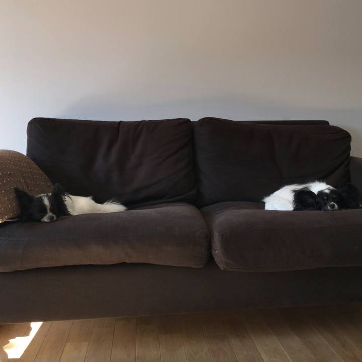 F7224b2d 9122 48e9 831a dd4bd8e04145 1510026033085