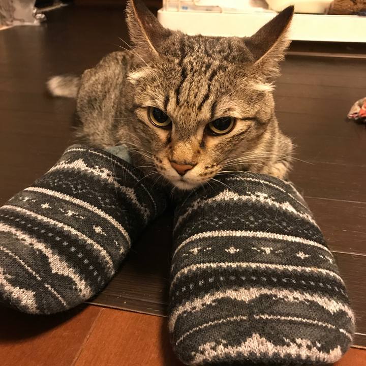 F7226edc 5b7e 4293 884e de63c9e3183c 1537593823064