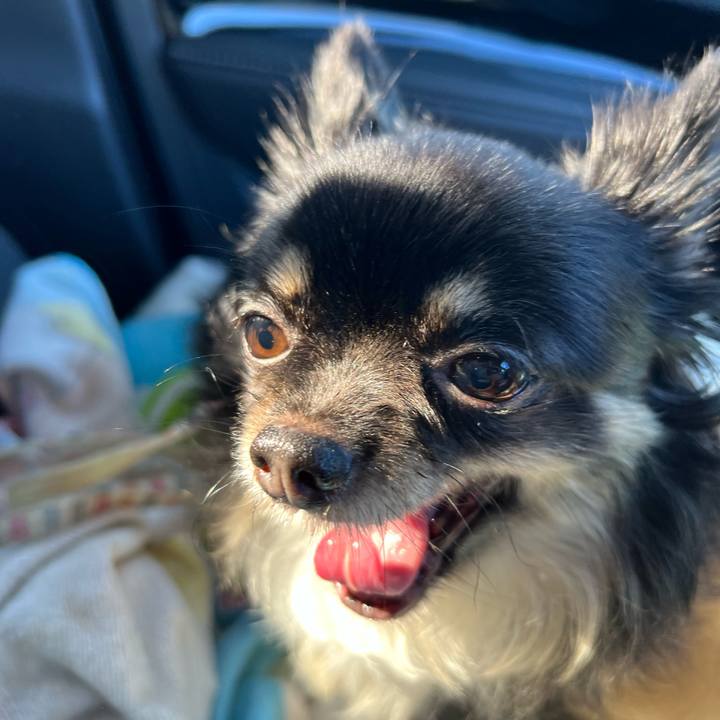 F7228aee 92e9 4a62 8e33 dc20dcfa7437 1702197947693