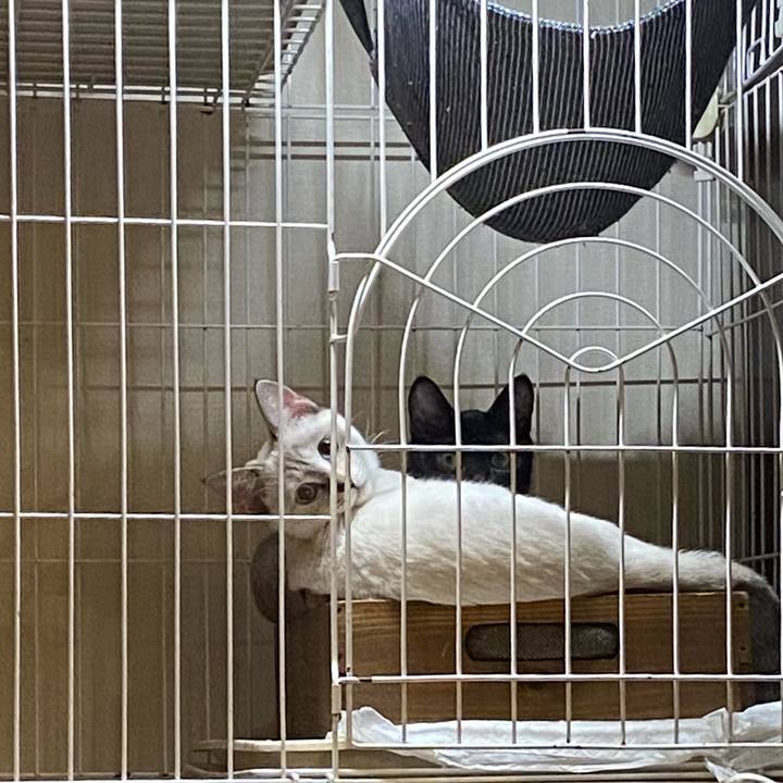 F7229d5b 3b7b 4e45 a3c2 e6b63b510739 1635847253505