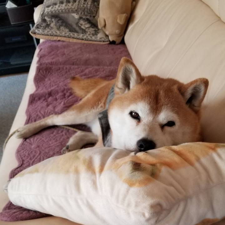 F722a748 6e88 4206 8de9 cc18349192fa 1616036506596