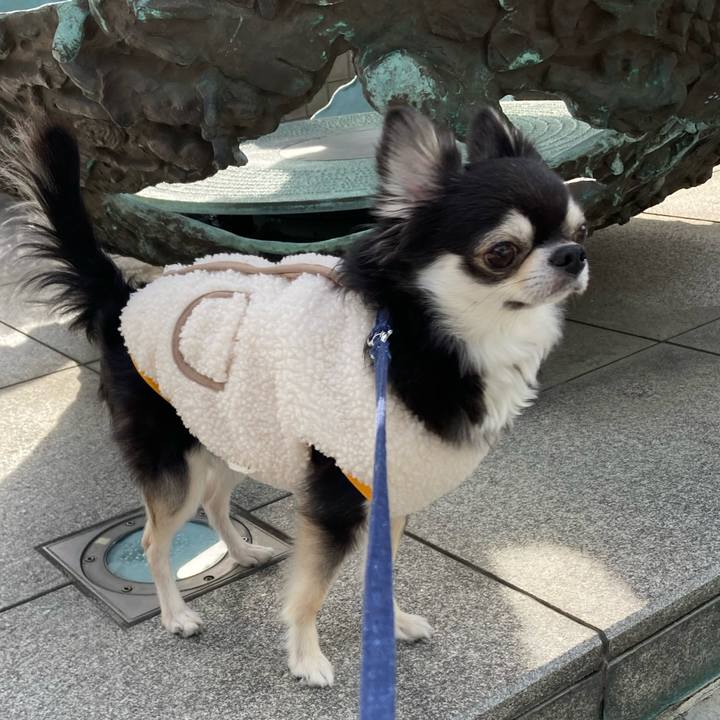 F722d789 265b 48f8 adbd 909e1039b542 1674362107234