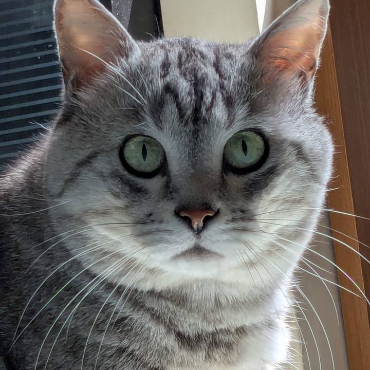 F722d9c4 8be3 4641 85f3 331cb82f5d10 1752467669843